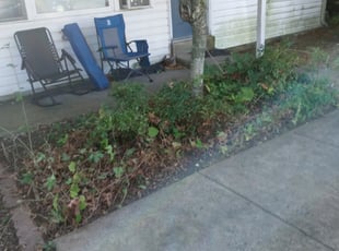 Weeding by Josue Pagan for Mark J. in Willow Grove, PA