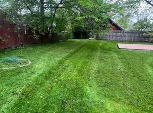 Tash V.'s Lawn Mowing service result
