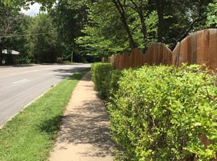 Bush Trimming by Tanner Larkin for Pier F. in St. Louis, MO