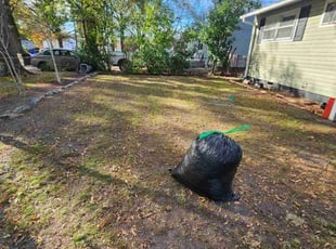 Leaf Removal by Jay M for William V. in Norfolk, VA