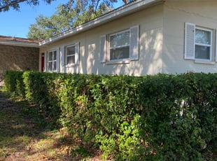 Bush Trimming by Jacob Thompson for Kay P. in Seminole, FL