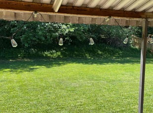 Jeff K.'s Lawn Maintenance service result