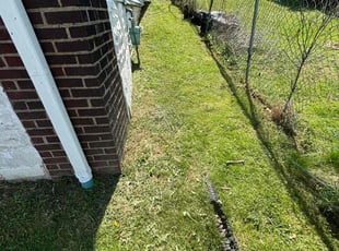 scott M.'s Lawn Mowing service result