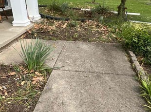 Weeding by Tommy Curtis for Leocadia K. in Frederick, MD