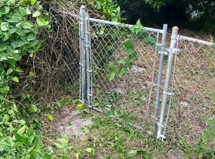 Bush Trimming by Zachary Wolf for Leigh Anne G. in Pompano Beach, FL