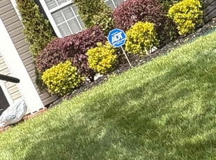 Brady O.'s Lawn Mowing Service service result