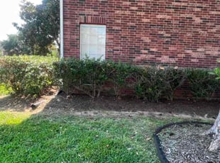 Weeding by Yennifer Campos for Crystina B. in League City, TX