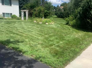 Golda O.'s Lawn Mowing Service service result
