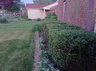 Bush Trimming by Brian Johnson for Ed b. in Virginia Beach, VA