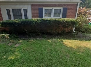 Bush Trimming by Lee Rickett for Holly G. in Charlotte, NC