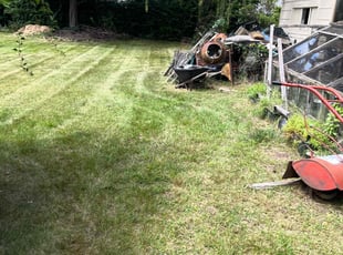 Benjamin C.'s Lawn Mowing service result