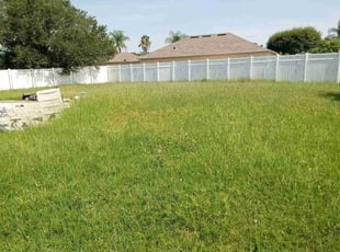 Weeding by James Patton for Bianca S. in Orlando, FL