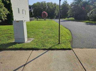Daphne E.'s Grass Cutting service result