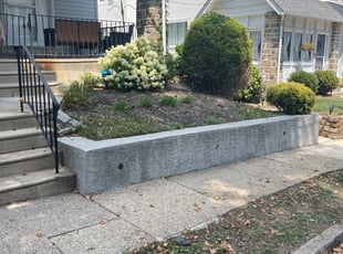 Bush Trimming by Terence Kelly for Gerldine D. in Drexel Hill, PA