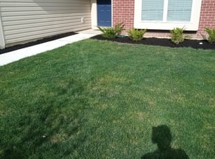 Mulching by Frank Koller for Faraz Y. in Indianapolis, IN