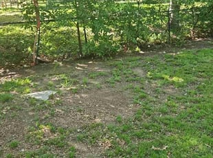 Leaf Removal by Manuel Solis Soto for Chanelle H. in Coppell, TX