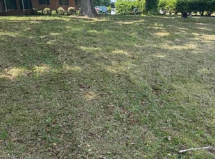 Leaf Removal by Claude Batts for Mike M. in Charlotte, NC