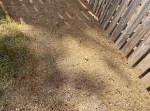 Weeding by Gregory Williams for Shawn H. in Loganville, GA