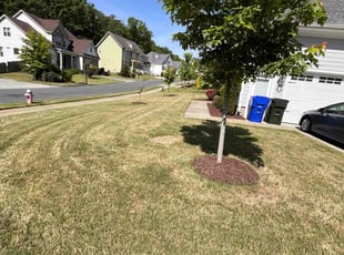 Weeding by Shawn Green for Alan R. in Chapel Hill, NC