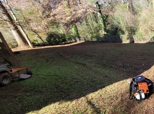 Leaf Removal by Willie P for Wendy L. in Decatur, GA