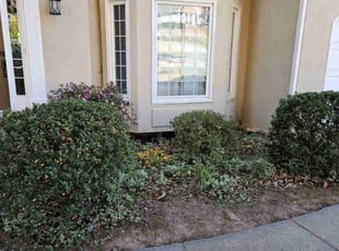 Bush Trimming by Jamil Lucy for Mike B. in Marietta, GA
