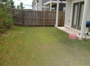 Paul L.'s Lawn Maintenance service result