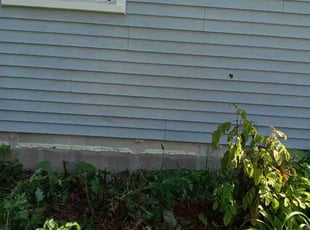 Cleanups by Kevin Rhyne for Sue E. in Madison, WI