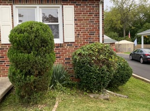 Bush Trimming by Chevis Mcleod for Michael K. in Plymouth Meeting, PA