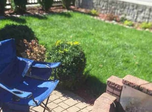 Lisa k.'s Yard Cutting service result