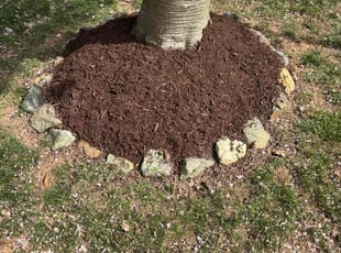 Mulching by Edwin Villagran for Calvin j. in Germantown, MD