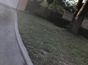 Cleanups by Chelle Estades for Ryan R. in Houston, TX