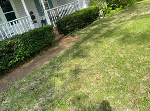 Bush Trimming by Daniel Baker for Susan D. in Columbia, TN