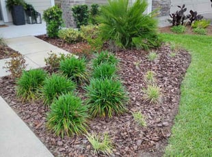 Bush Trimming by Yon Helton for Bethany D. in Ponte Vedra Beach, FL