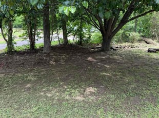 Cleanups by James Tanner for Maria F. in Douglasville, GA