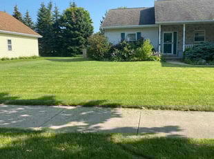 Eftin E.'s Lawn Care service result