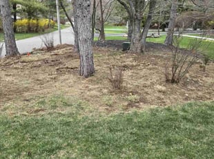 Cleanups by Ali Awad for John H. in Wyckoff, NJ