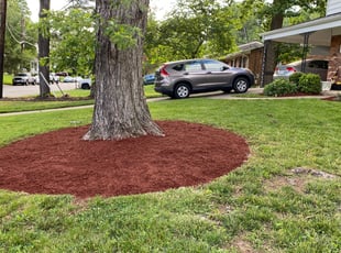 Landscaping by Angel P. for Brett K. in Fairfax, VA