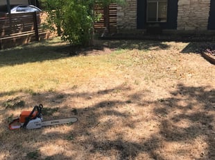 Cleanups by Ken Cluchey for Emma W. in Austin, TX
