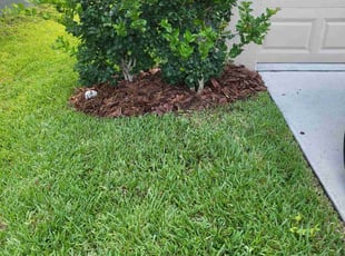 Mulching by Louis Reele for Taijon S. in Riverview, FL