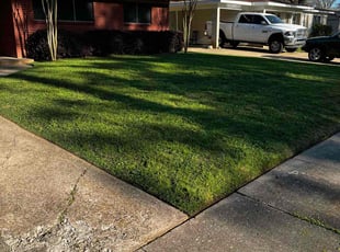Danielle T.'s Lawn Care service result