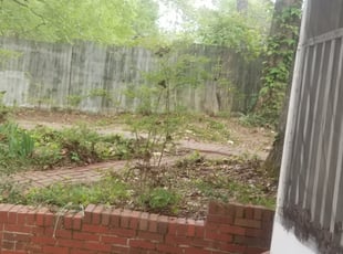 Leaf Removal by Chris Chance for James G. in Birmingham, AL