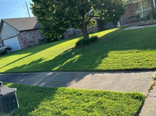 Brandy M.'s Lawn Care service result