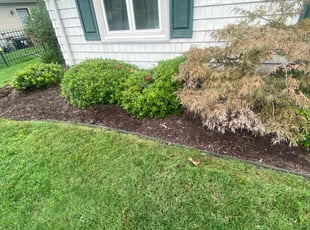 Weeding by Debbie Carper for Brett H. in Virginia Beach, VA