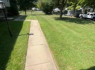 Steve L.'s Lawn Mowing service result