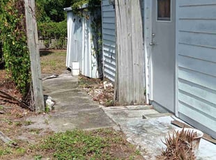 Bush Trimming by Elvis Pintado for Carole T. in Largo, FL