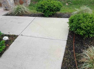 Weeding by Valente Alvarado for Joe P. in The Colony, TX