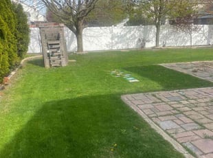 Arup B.'s Lawn Mowing service result