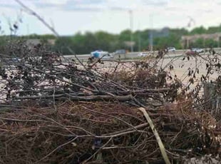 Cleanups by Lindsey Whaley for Raj G. in Omaha, NE
