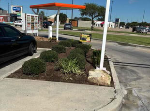 Bush Trimming by Juan Mezomo for Jeffrey G. in Houston, TX