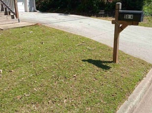Bush Trimming by Joshua Walker for Christopher G. in Decatur, GA
